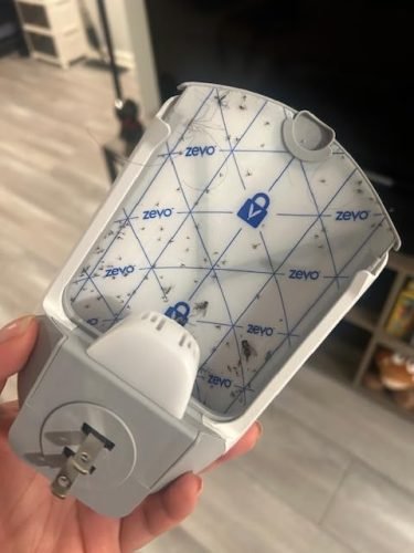 Zevo 2 Flying Insect Traps & 2 Refill Cartridges - Plug in Fly Trap & Indoor Bug Catcher for Gnats. House & Fruit Flies - Blue & UV Light Technology. Mess-Free Alternative to Bug Zapper photo review