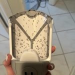 Zevo 2 Flying Insect Traps & 2 Refill Cartridges - Plug in Fly Trap & Indoor Bug Catcher for Gnats. House & Fruit Flies - Blue & UV Light Technology. Mess-Free Alternative to Bug Zapper photo review