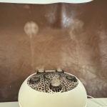 Essential Oil Diffuser 250ML Dancing Jellyfish Aromatherapy Diffuser Humidifier with 7 Colors LED Lights.Remote Control.Plug in for Bedroom.Office (White) photo review