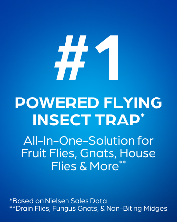 Zevo 2 Flying Insect Traps & 2 Refill Cartridges - Plug in Fly Trap & Indoor Bug Catcher for Gnats. House & Fruit Flies - Blue & UV Light Technology. Mess-Free Alternative to Bug Zapper